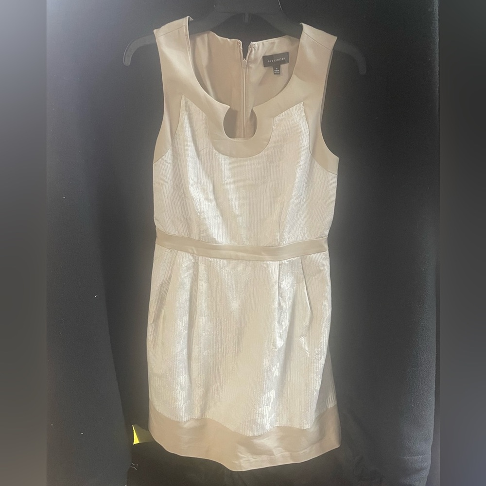 Size 8 limited tank dress